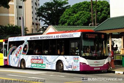 Bus 81 - SBS Transit Scania K230UB (SBS8602L)
