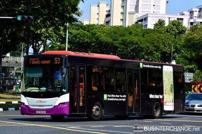 Bus 53 - SBS Transit Scania K230UB (SBS8608X)