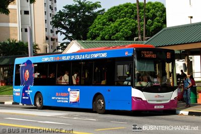 Bus 81 - SBS Transit Scania K230UB (SBS8611K)