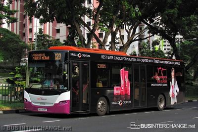 SBS8619P · 123
