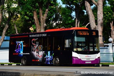 Bus 36 - SBS Transit Scania K230UB (SBS8630E)