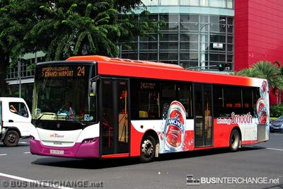 Bus 24 - SBS Transit Scania K230UB (SBS8690G)