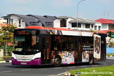 Bus 70 - SBS Transit Scania K230UB (SBS8738D)