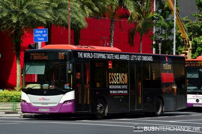Bus 86 - SBS Transit Scania K230UB (SBS8739B)