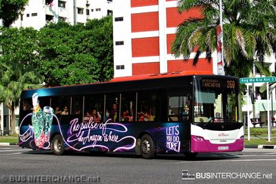 Bus 269 - SBS Transit Scania K230UB (SBS8756B)
