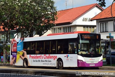 Bus 8 - SBS Transit Scania K230UB (SBS8789G)
