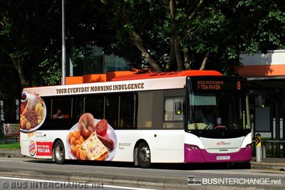 Bus 8 - SBS Transit Scania K230UB (SBS8789G)