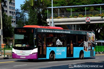 Bus 8 - SBS Transit Scania K230UB (SBS8789G)