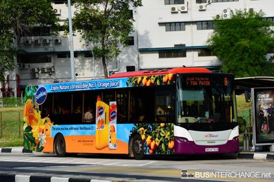 Bus 8 - SBS Transit Scania K230UB (SBS8790B)