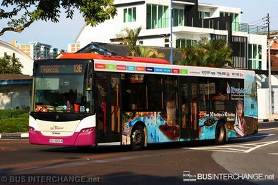 Bus 136 - SBS Transit Scania K230UB (SBS8806R)