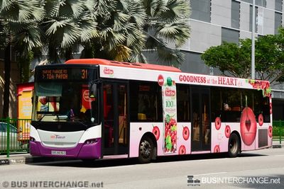 Bus 31 - SBS Transit Scania K230UB (SBS8836D)