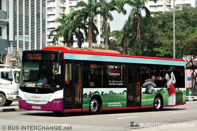 Bus 31 - SBS Transit Scania K230UB (SBS8836D)