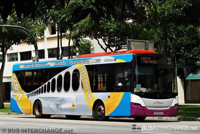 Bus 31 - SBS Transit Scania K230UB (SBS8840R)