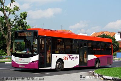 SBS8883S · TRAINING BUS