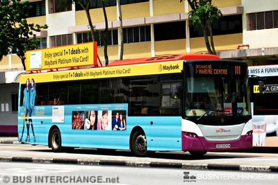 Bus 111 - SBS Transit Scania K230UB (SBS8905M)