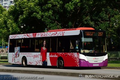 Bus 257 - SBS Transit Scania K230UB (SBS8906K)