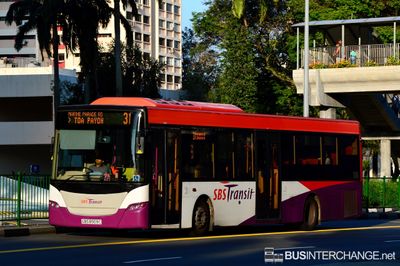 Bus 31 - SBS Transit Scania K230UB (SBS8909C)