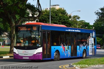 Bus 186 - SBS Transit Scania K230UB (SBS8923K)