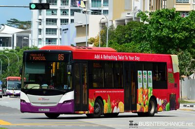 Bus 85 - SBS Transit Scania K230UB (SBS8993H)