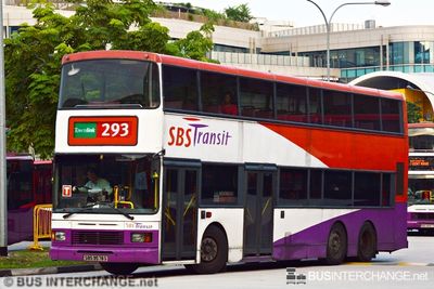 Bus 293 - SBS Transit Volvo Olympian (SBS9578S)