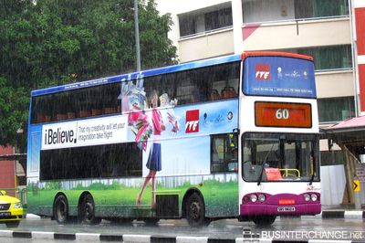 Bus 60 - SBS Transit Volvo B10TL (SBS9800A)