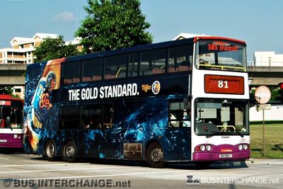 Bus 81 - SBS Transit Volvo B10TL (SBS9801Y)