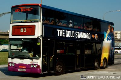 Bus 81 - SBS Transit Volvo B10TL (SBS9801Y)