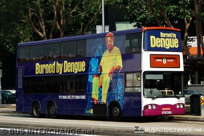 Bus 8 - SBS Transit Volvo B10TL (SBS9807G)