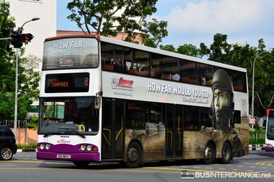 Bus 8 - SBS Transit Volvo B10TL (SBS9810X)