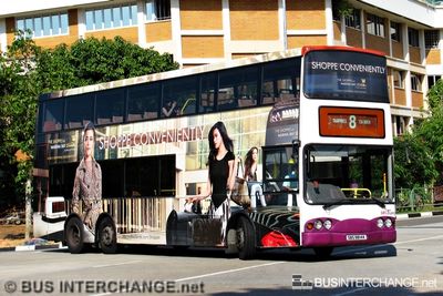 Bus 8 - SBS Transit Volvo B10TL (SBS9814K)