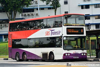 Bus 8 - SBS Transit Volvo B10TL (SBS9819Y)
