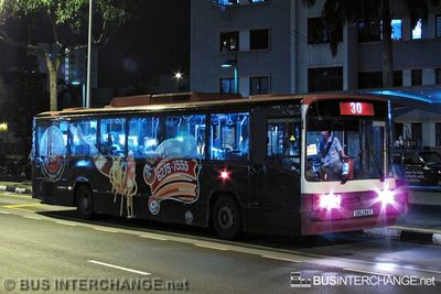 Bus 30 - SBS Transit Mercedes-Benz O405 (SBS234T)