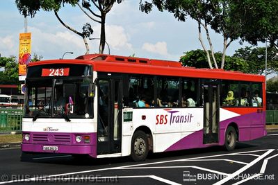 Bus 243 - SBS Transit Mercedes-Benz O405 (SBS282D)