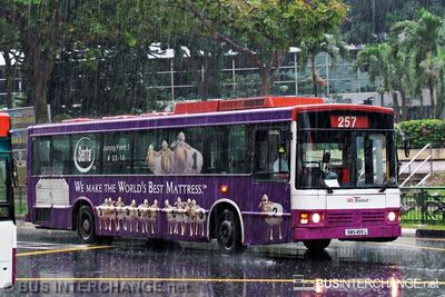 Bus 257 - SBS Transit Mercedes-Benz O405 (SBS459L)