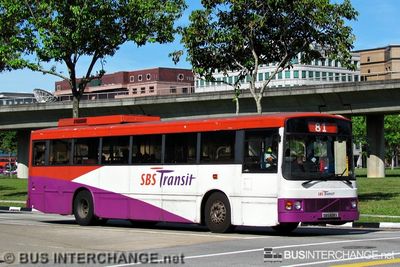 Bus 81 - SBS Transit Volvo B10M (Mark III) (SBS609X)