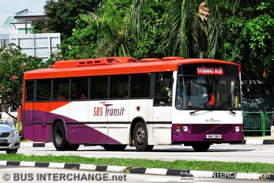 SBS735P · TRAINING BUS