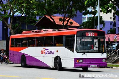 SBS896H · 246