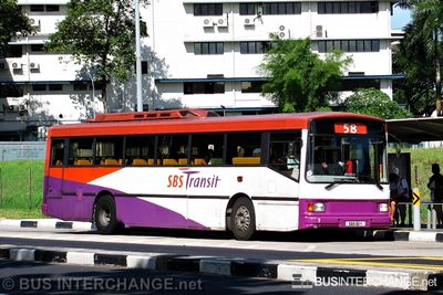 SBS911Y · 58