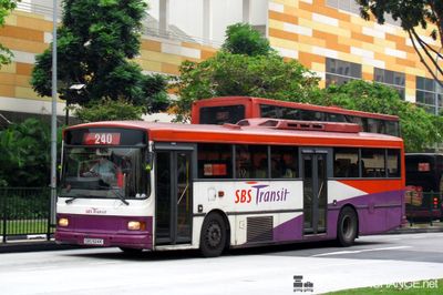 Bus 240 - SBS Transit Volvo B10M (Mark IV) (SBS924K)