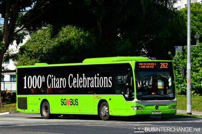 SG1000G · 262