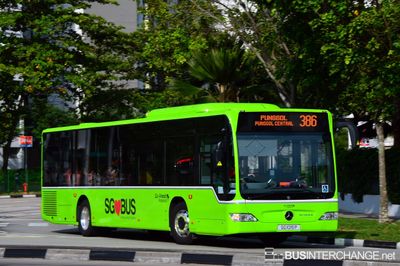 SG1015P · 386