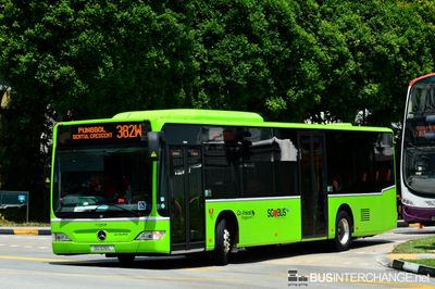 SG1016L · 382W