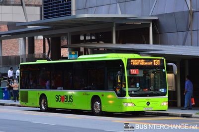 SG1029A · 131