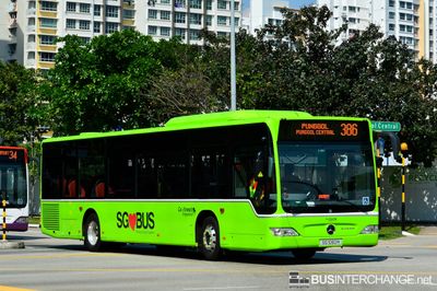 SG1060H · 386