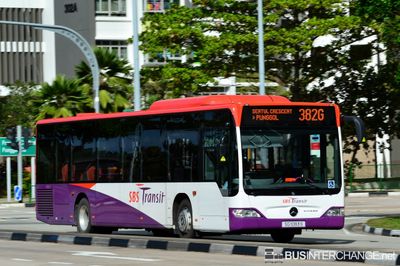 Bus 382G - SBS Transit Mercedes-Benz Citaro (SG1083S)