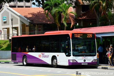 SG1100B · 229