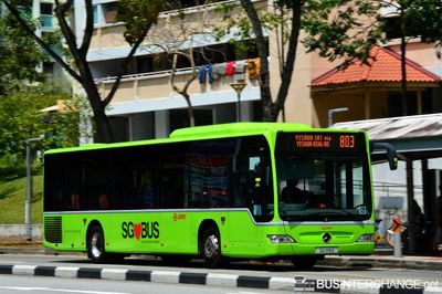 SG1118B · 803