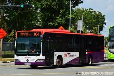 Bus 804 - SBS Transit Mercedes-Benz Citaro (SG1147S)