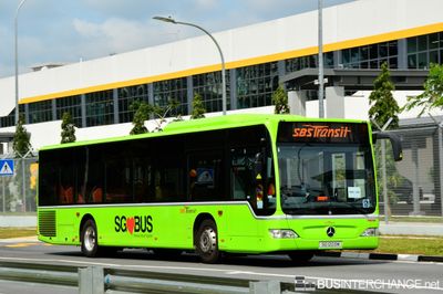 SBS Transit Mercedes-Benz Citaro (SG1203M) - SBS Transit