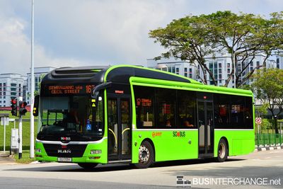 Bus 167 - SMRT Buses MAN NL323F (A22) (SG1713H)